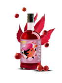 Бузина сироп LaBuzina LIQUID JOY бутылка стекло 700 мл