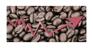 «Вместо перекуса»: Россияне не откажутся от кофе навынос из-за роста цен в 10%