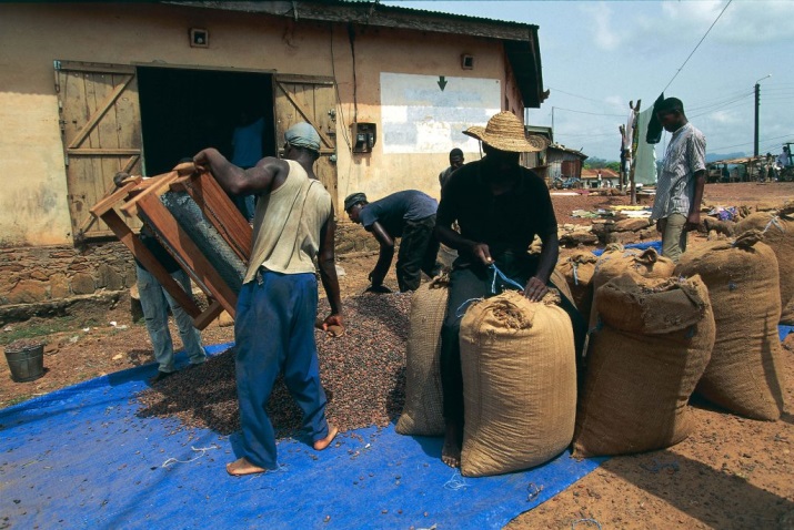 Кот-д'Ивуар рабочие на фасовке.jpg