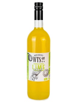 Лайм сироп WTS, бутылка стекло 1 л