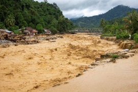 Фьючерсы на кофе робуста растут на фоне новых проблем с погодой во Вьетнаме