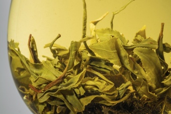 Мятный Лев зеленый с мятой чай 3