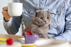 Три идеи из японских кофеен, которые можно перенять