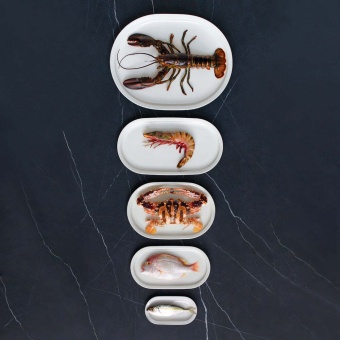 Тарелка Loveramics Er-go! 43 см D101-09B Turkey Platter (White), цвет белый (1)