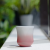 Чашка Loveramics 80 ml Hutch Tasting Cup C098-169BDP, цвет розовая пустыня (2)