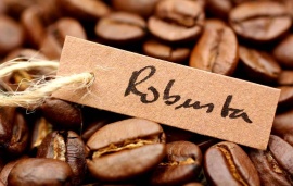 Мировым поставкам кофе робуста предсказали сокрушительное падение