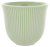 Чашка Loveramics Embossed Tasting Cup 250мл, цвет зеленый C099-47BGR