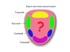 Дегустация кофе: карта вкусов на языке?