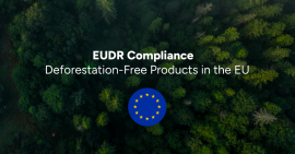 Введение EUDR может снова быть отложено