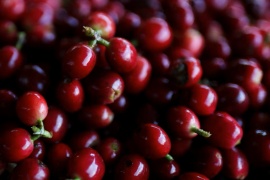 Колумбия собрала лучший урожай кофе за последние 30 лет