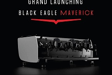 Вдохновляющий гений с Black Eagle Maverick