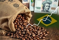 Цены на кофе растут по мере укрепления бразильского реала