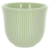 Чашка Loveramics Embossed Tasting Cup 150мл, цвет светло-зеленый C099-30BCG (1)