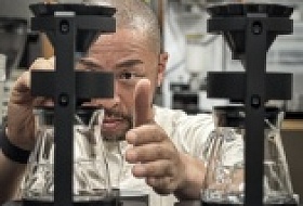 Исследование современных кафе Токио и идеи для их внедрения в России