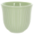 Чашка Loveramics Embossed Tasting Cup 150мл, цвет светло-зеленый C099-30BCG
