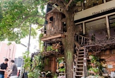 Три идеи из японских кофеен, которые можно перенять