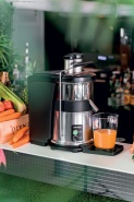 Профессиональные Центробежные Соковыжималки в HoReCa: Стратегический Обзор, Технологии и Экономическая Обоснованность