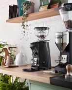 Mazzer Mini The New Classic: обзор новинки 2025 года