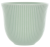Чашка Loveramics Embossed Tasting Cup 250мл, цвет светло-зеленый C099-29BCG (2)