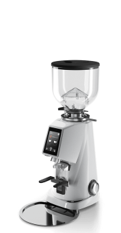 Кофемолка для эспрессо Fiorenzato F4 EVO Classic Gray