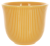 Чашка Loveramics Embossed Tasting Cup 150мл, цвет желтый C099-42BYE (1)