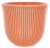 Чашка Loveramics Embossed Tasting Cup 250мл, цвет оранжевый C099-44BOR (2)
